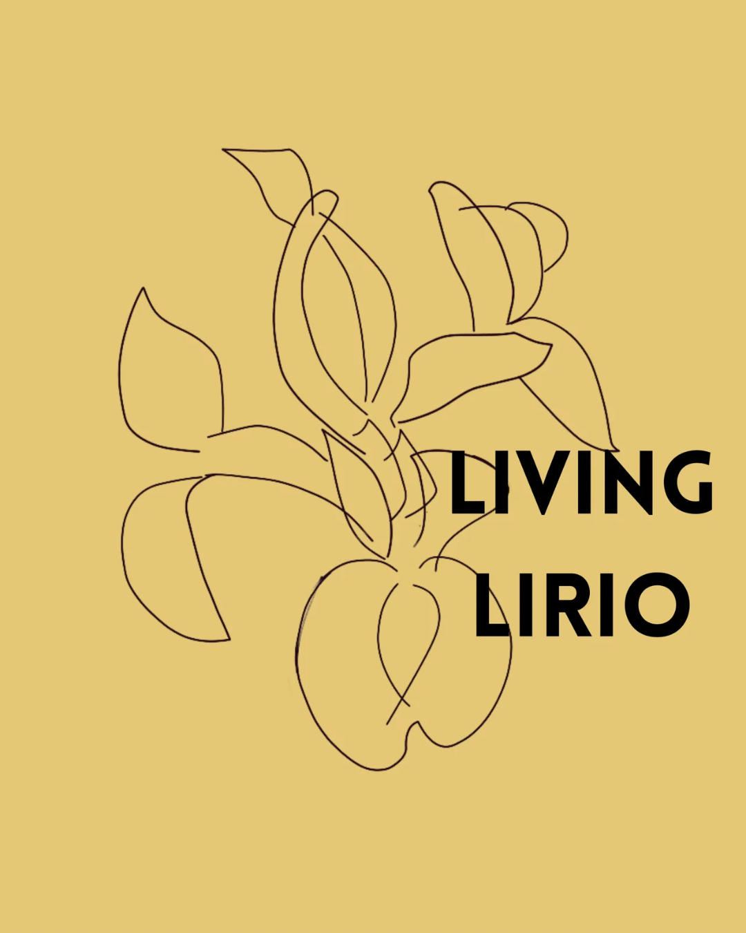 Living Lirio